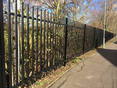 Black coated PVC palisade fence with rounded & notched top for the road to separate the trees.